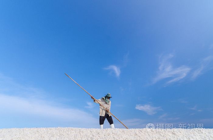 工人正在收获在盐场海盐。最小的组成