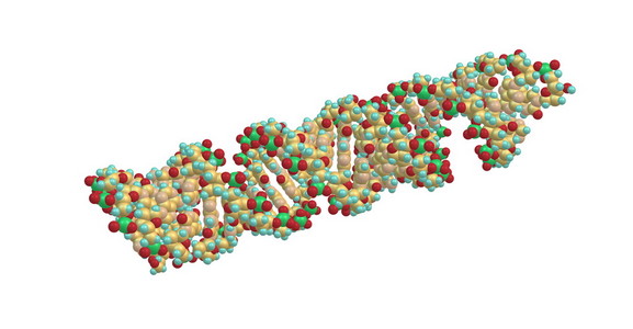 脱氧核糖核酸Dna 的分子结构上白色孤立