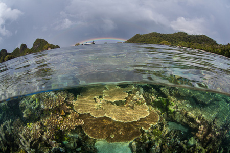 彩虹和浅珊瑚礁