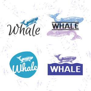 矢量彩色标志设置与鲸鱼