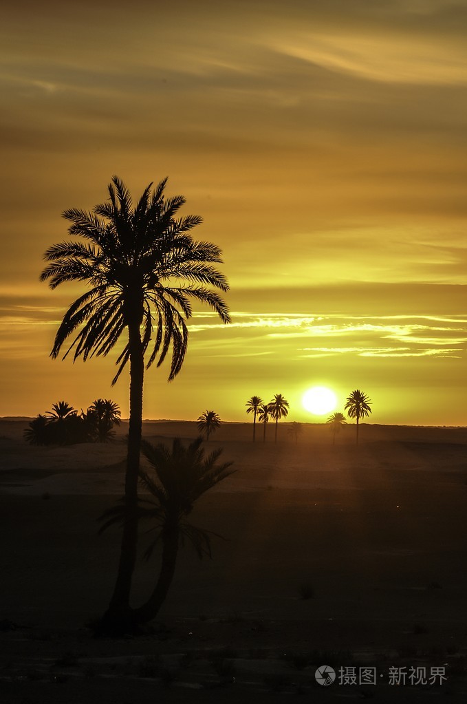 日落的美丽的颜色