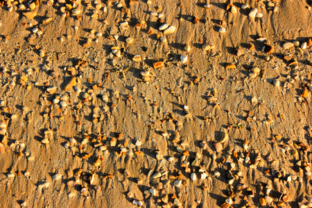 海滩卵石背景