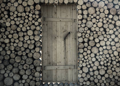 柴门背景下的绿草柴门照片