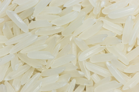 水稻籽粒 香米 为背景