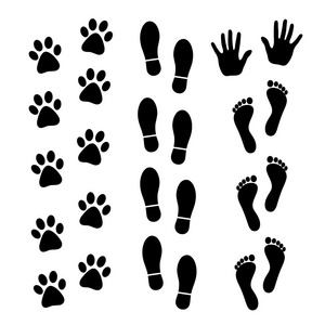 向量组的黑色的人类和动物的脚印