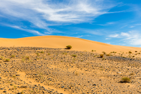 沙丘撒哈拉沙漠