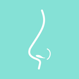 塑料感鼻子-矢量图标照片