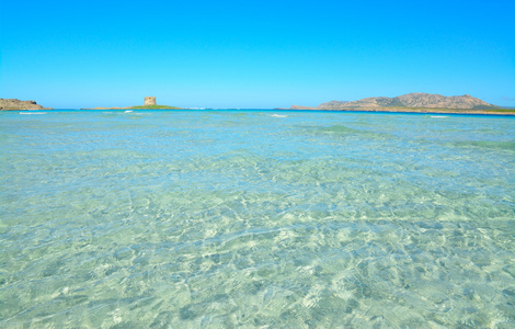 清澈的水在 La Pelosa 海滩