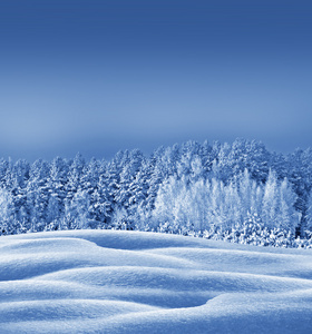 冬天的森林。冬季景观。冰雪覆盖的树木