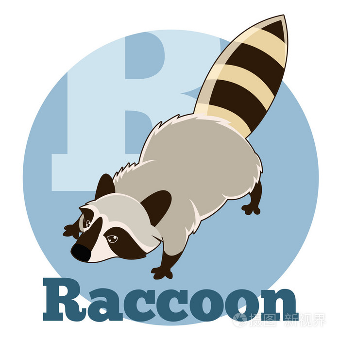 Abc 卡通 Raccoon2