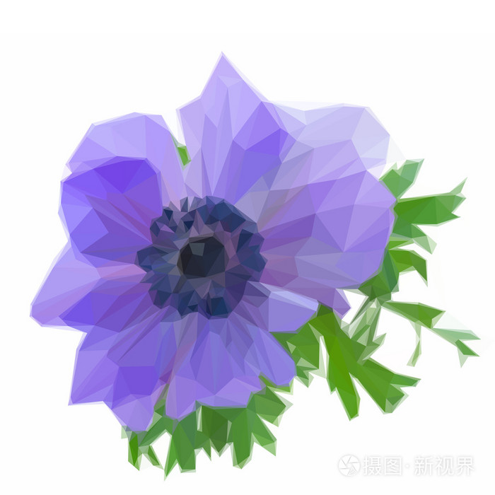 一个蓝色的莲花