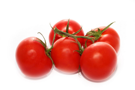 美丽成熟的西红柿