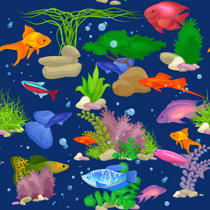 水族馆鱼类，海藻水下无缝模式矢量图
