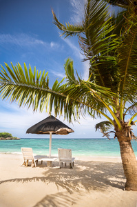 椅子和热带海滩伞
