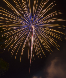 快乐新的一年 2016年五彩缤纷的烟花在夜空上