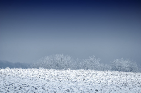 雪域景观视图