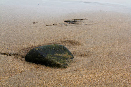湿的沙子和岩石在海滩上