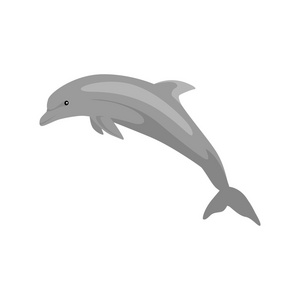 黑白海豚孤立在白色背景上的黑白海豚插画