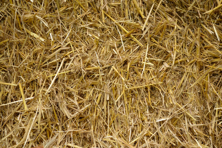 夏季秸秆图片