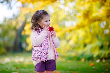 小姑娘，孩子在美丽的秋天公园