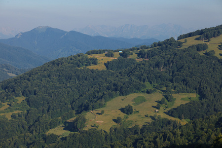 在山中风景