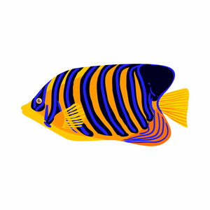 Zebrasoma 小鱼的图标，卡通风格