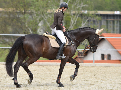 美丽的女人骑乘马照片