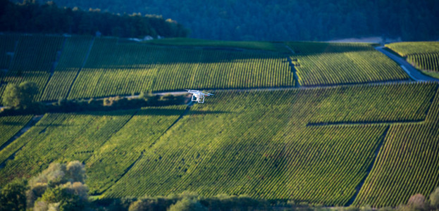 实用程序在 wineyard 无人机