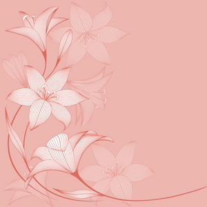 百合花矢量图单色花卉背景与抽象的百合花.矢量图照片