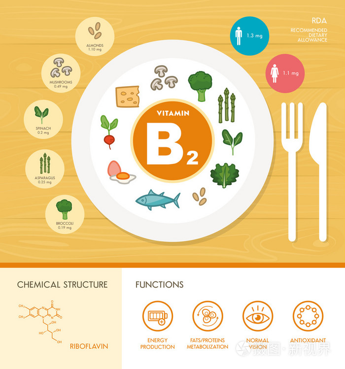 维生素营养信息图表