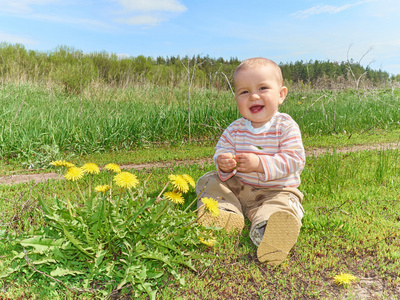 宝宝与黄色的花朵蒲公英绿色草地上坐着
