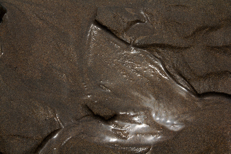 湿的沙海滩图片