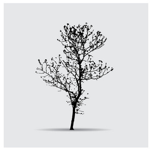 饰品春天树剪影图片