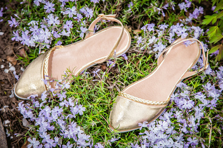 金女士凉鞋与鲜花，广告鞋