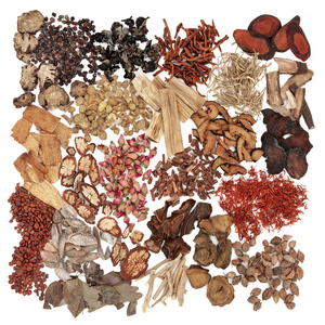 中草药肉豆蔻图片