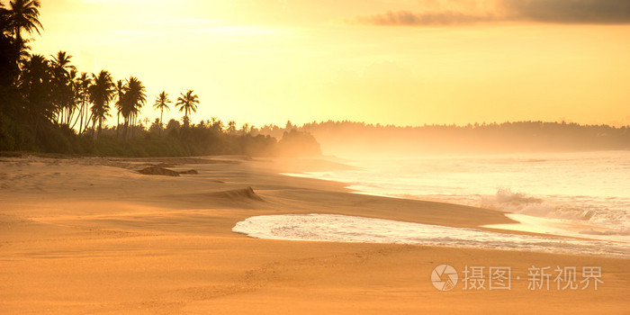 夏天的沙滩与日落中的棕榈树