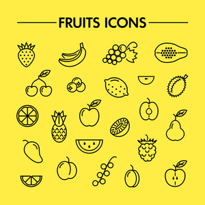 水果和浆果线图标
