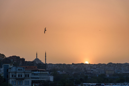 伊斯坦布尔在日落时的地平线