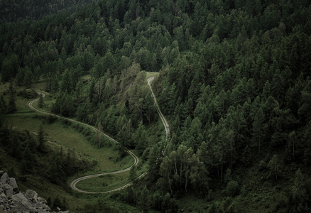 山的道路