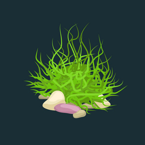 海底藻类海藻, 孤立五颜六色的珊瑚和藻类,矢量海底植物动物照片