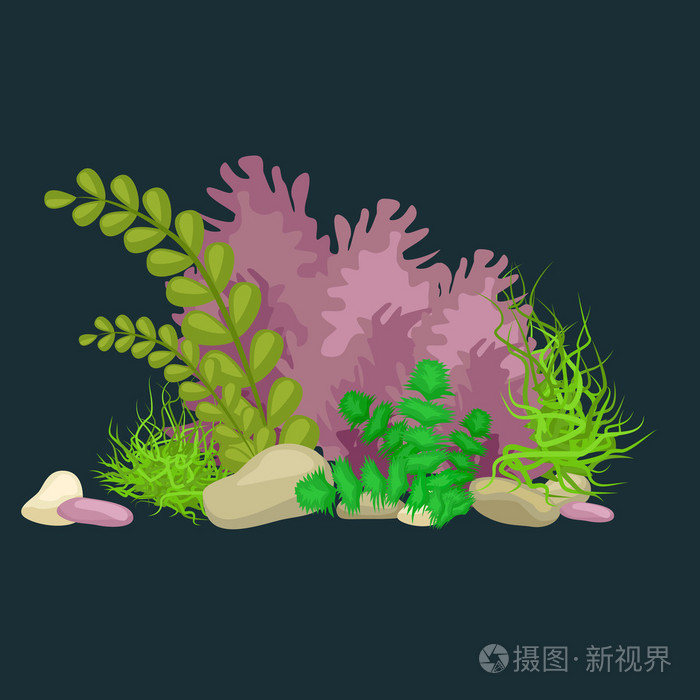 海藻孤立五颜六色的珊瑚和藻类矢量海底植物动物