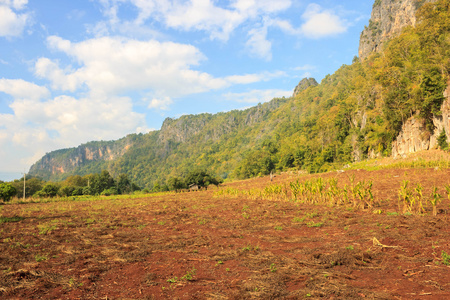 景观。小山和景观地区农民后收获创新