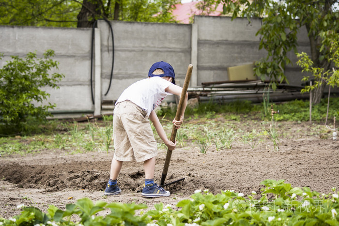 下载小样发票合同问题/举报奶奶带着孙子的挖花园快乐的小男孩用铁锹