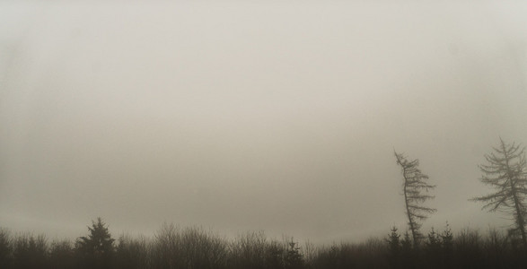 迷雾中的微弱景观