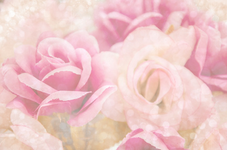 美丽的粉红色花朵与光散景