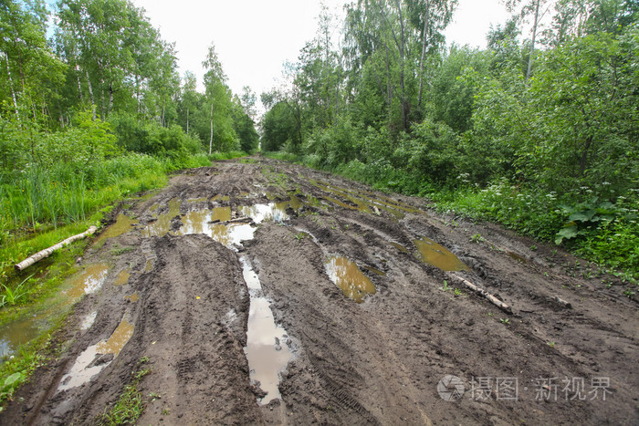 泥泞肮脏的道路穿过森林与水坑