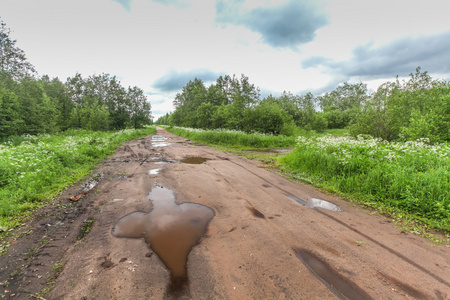 泥泞肮脏的道路穿过森林与水坑