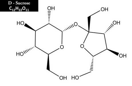 蔗糖的分子结构照片