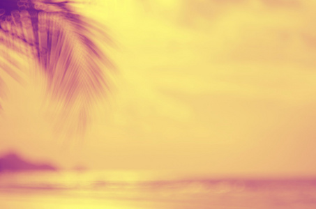 模糊在热带的日落海滩抽象背景上的棕榈树