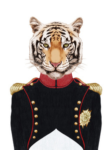 老虎在军装的肖像